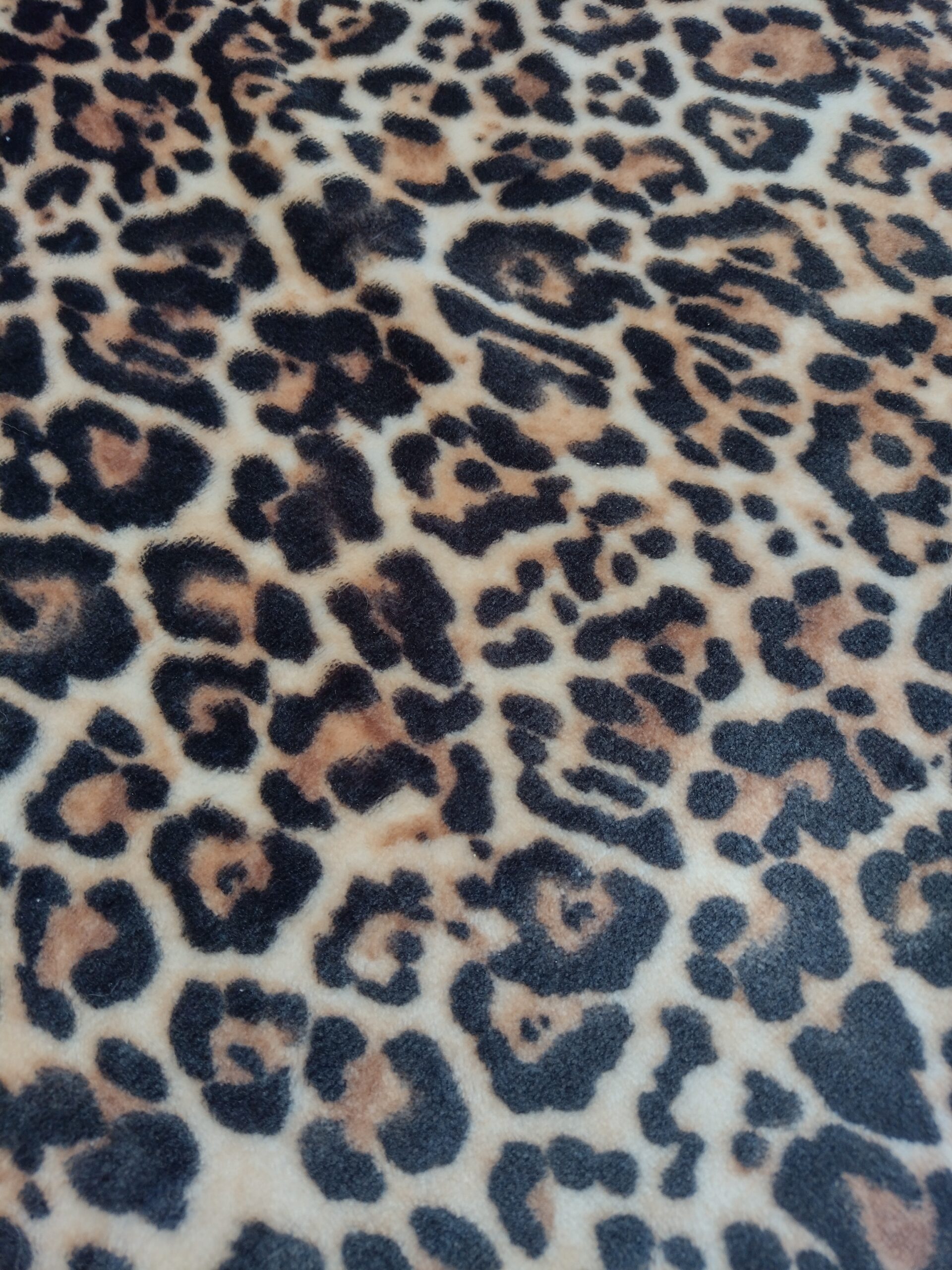 IMG_20220519_140647063_HDR